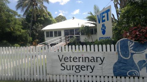 Harbour City Veterinary Surgery - VETS Brisbane 1