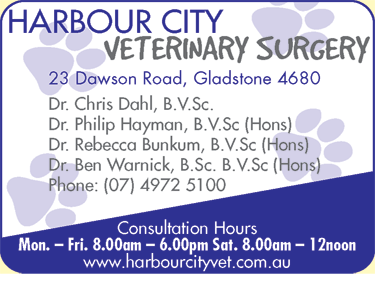 Harbour City Veterinary Surgery - VETS Brisbane 2