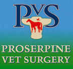 Jason Mansfield - VETS Brisbane