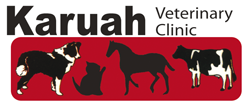 Karuah Veterinary Clinic - VETS Brisbane 0