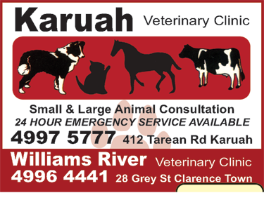 Karuah Veterinary Clinic - VETS Brisbane 4