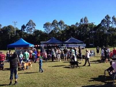 Keen Street Veterinary Clinic - VETS Brisbane 3