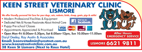 Keen Street Veterinary Clinic - VETS Brisbane 5