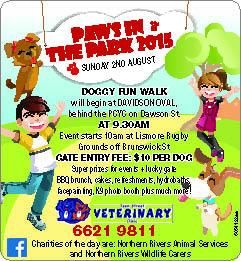 Keen Street Veterinary Clinic - VETS Brisbane 7