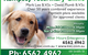Kempsey Veterinary Clinic - thumb 1