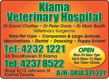 Kiama Veterinary Hospital - VETS Brisbane 1