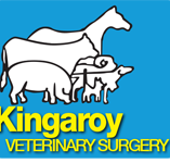 Kingaroy Veterinary Surgery - VETS Brisbane