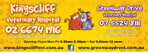 Kingscliff Veterinary Hospital - VETS Brisbane 1