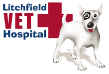 Litchfield Veterinary Hospital - VETS Brisbane 0