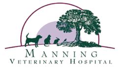 Manning Veterinary Hospital - VETS Brisbane 0