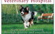 Manning Veterinary Hospital - thumb 1