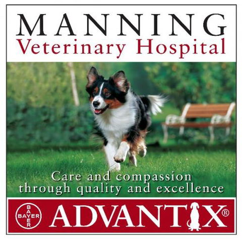 Manning Veterinary Hospital - VETS Brisbane 1