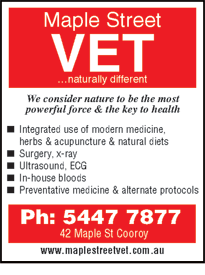 Maple Street Vet - VETS Brisbane 1