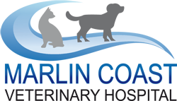 Palm Cove QLD VETS Brisbane