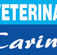 Matthews Paul - VETS Brisbane