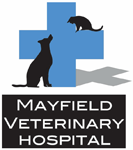 Mayfield West NSW VETS Brisbane