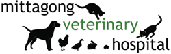 Mittagong Veterinary Hospital - VETS Brisbane 0