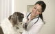 Moffat Beach Veterinary Surgery - thumb 1