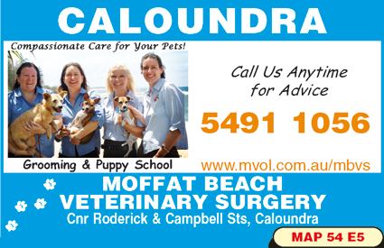 Moffat Beach Veterinary Surgery - VETS Brisbane 2