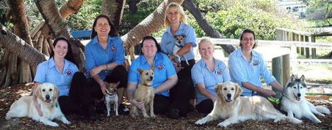 Moffat Beach Veterinary Surgery - VETS Brisbane 3