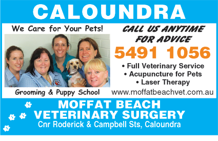 Moffat Beach Veterinary Surgery - VETS Brisbane 5
