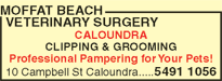 Moffat Beach Veterinary Surgery - VETS Brisbane 6