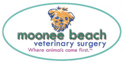 Moonee Beach Veterinary Surgery - VETS Brisbane 0