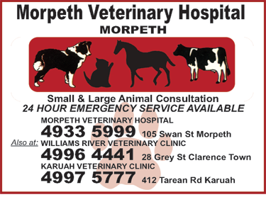 Morpeth Veterinary Hospital - VETS Brisbane 3
