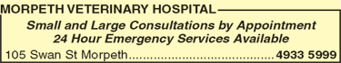 Morpeth Veterinary Hospital - VETS Brisbane 4