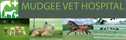 Cullenbone NSW VETS Brisbane