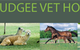 Mudgee Veterinary Hospital - thumb 0