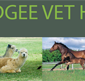 Mudgee Veterinary Hospital - VETS Brisbane
