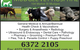 Mudgee Veterinary Hospital - thumb 1