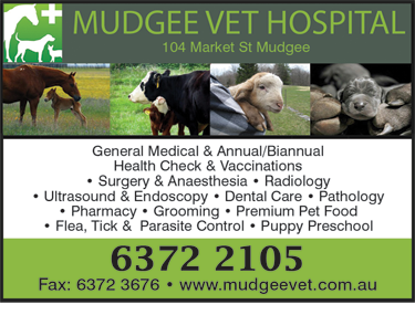 Mudgee Veterinary Hospital - VETS Brisbane 1