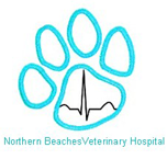 Northern Beaches Veterinary Hospital - VETS Brisbane