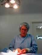 Orange Vet - VETS Brisbane 1