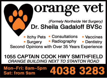 Orange Vet - VETS Brisbane 4