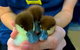 Palmerston Veterinary Hospital - thumb 1