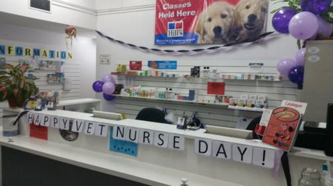 Parap Veterinary Hospital - VETS Brisbane 1