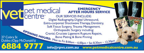 Pet Medical Centre - VETS Brisbane 1