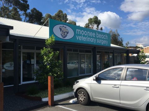 Moonee Beach Veterinary Surgery - VETS Brisbane 2