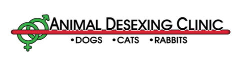 Animal Desexing Clinic - VETS Brisbane 0
