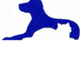 Dr Stephen Crouch Gawler South Small Animal Hospital - VETS Brisbane