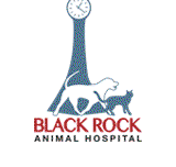 Black Rock Animal Hospital - VETS Brisbane