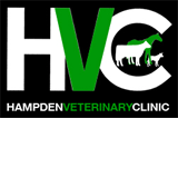 Hampden Veterinary Clinic - VETS Brisbane