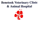 Benetook Veterinary Clinic - VETS Brisbane