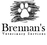 Brennan's Veterinary Services - VETS Brisbane