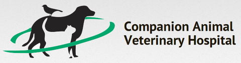 Companion Animal Veterinary Hospital - VETS Brisbane 0