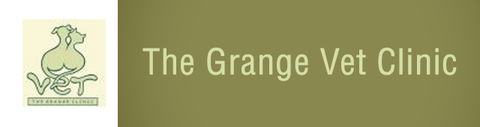 The Grange Vet Clinic - VETS Brisbane 0