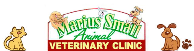 Tamworth NSW VETS Brisbane